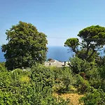 בית נופש On The Mountain